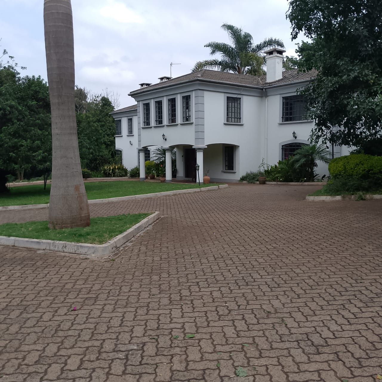 WhatsApp Image 2025-08-01 at 17.09.19_31968d2e