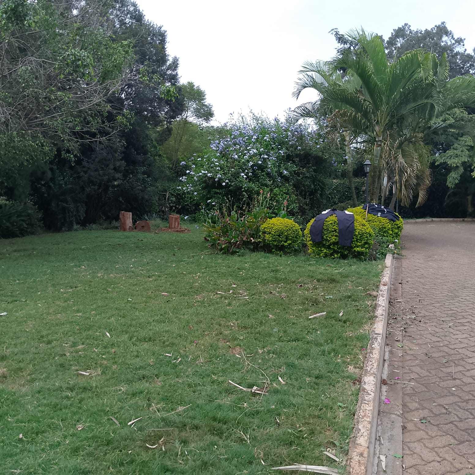 WhatsApp Image 2025-08-01 at 17.09.19_ac5c5459