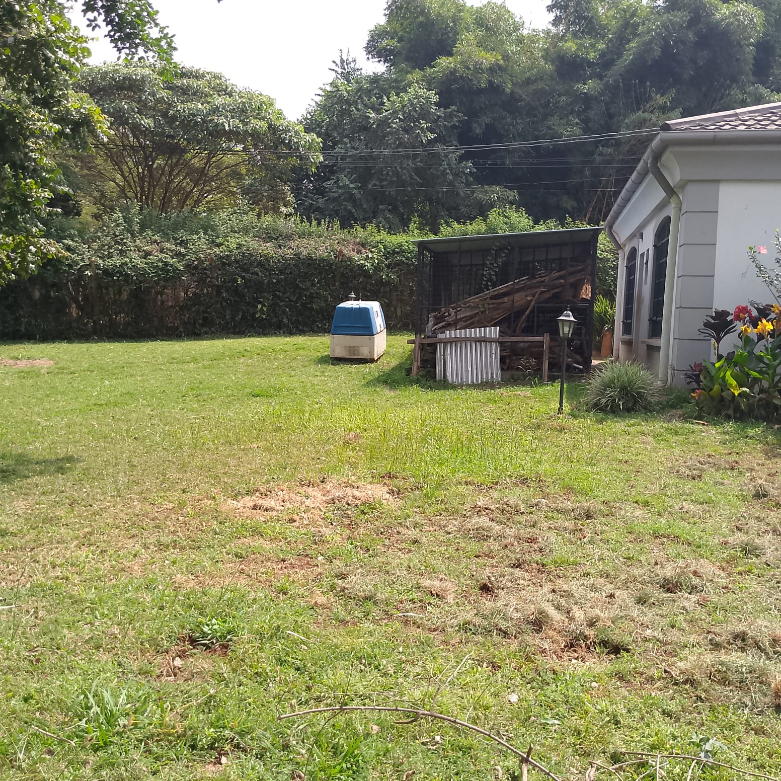 WhatsApp Image 2025-08-01 at 17.09.27_9f811a9e