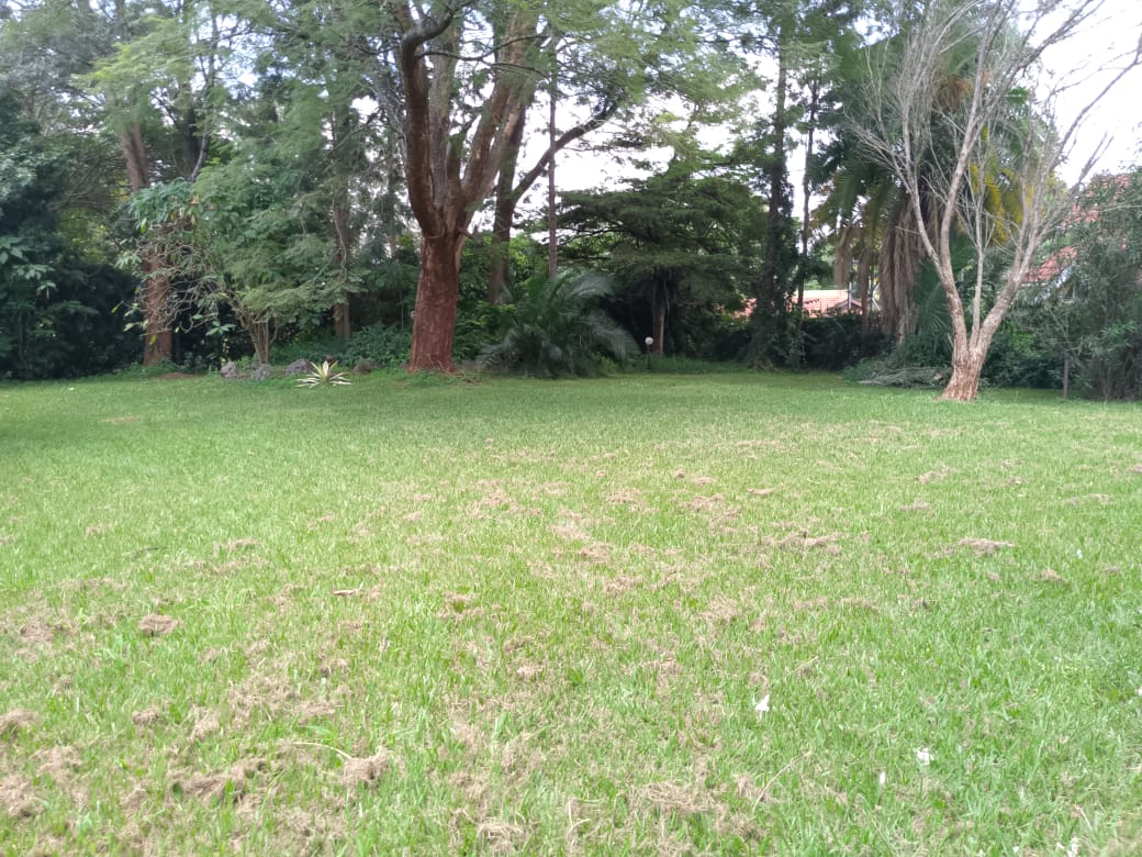 WhatsApp Image 2025-09-02 at 13.57.31_a243167c