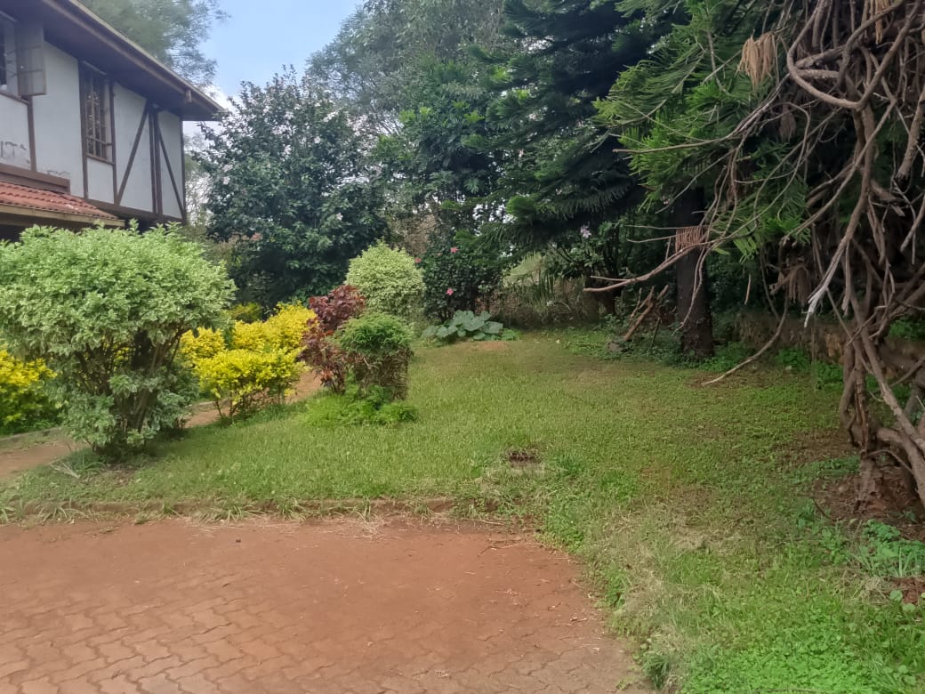 WhatsApp Image 2025-09-02 at 13.57.32_388fa50a