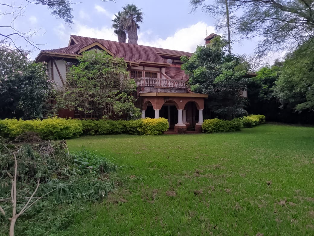 WhatsApp Image 2025-09-02 at 13.58.37_a6c41461