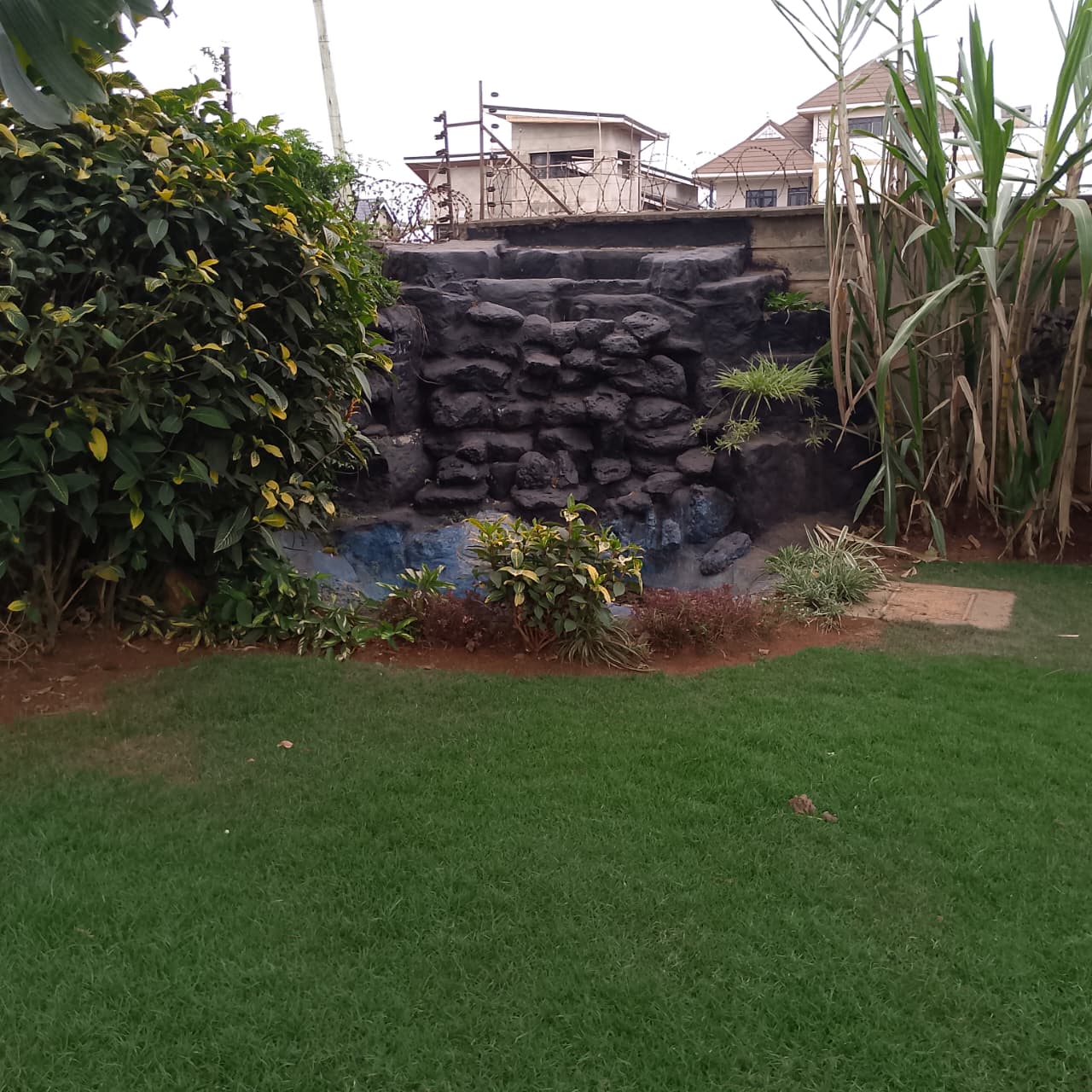 WhatsApp Image 2025-10-23 at 12.01.29_51ac5e29