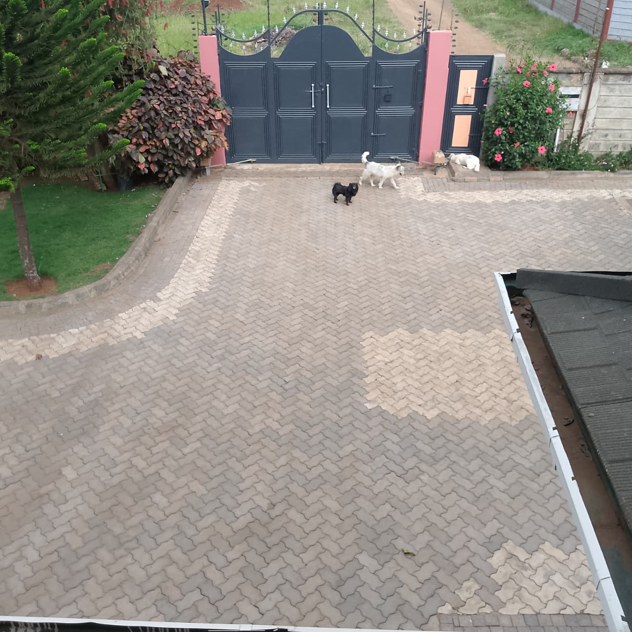 WhatsApp Image 2025-10-23 at 12.01.29_8fa2fbcc